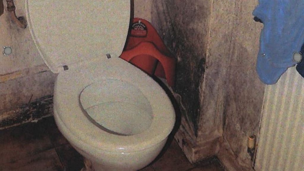 damp and mould in the bathroom