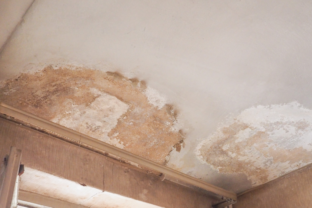 Common housing disrepair issues in council housing, including damp and structural cracks